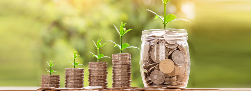 681c085825990.jpg 5cda20052d1d9.jpg